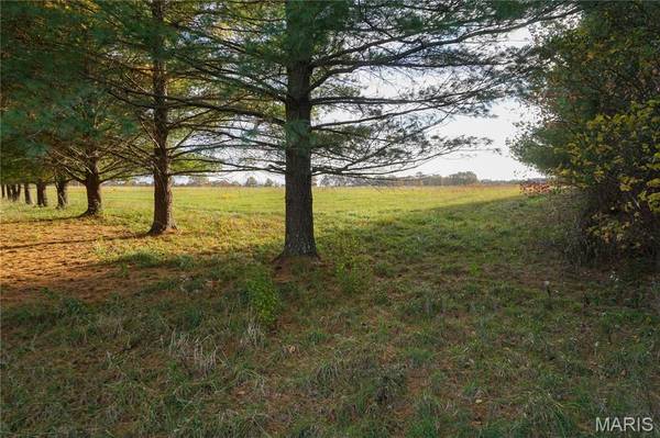 TBD State Route KK, St James, MO 65559