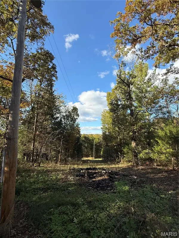 14125 County Road 7220, Newburg, MO 65550