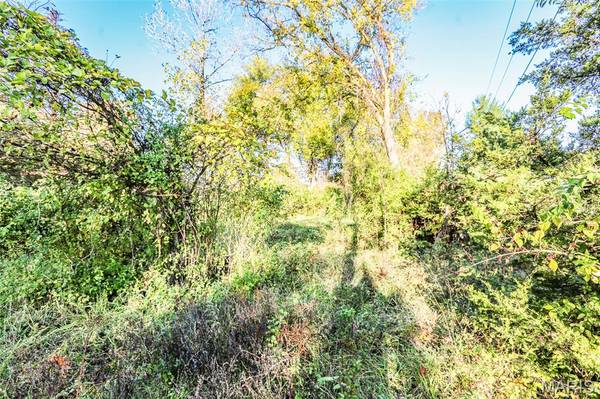 4591 Highway W, House Springs, MO 63051