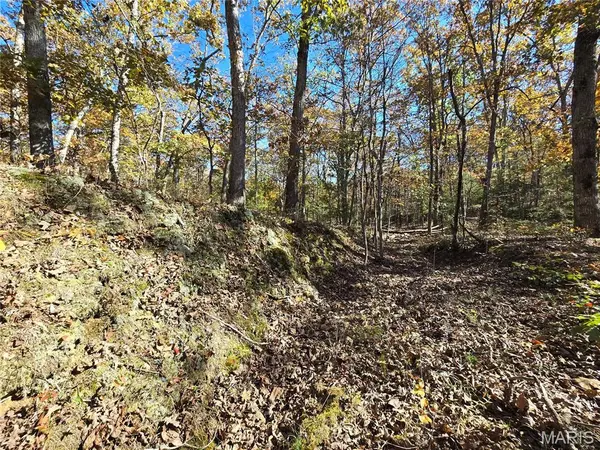 107 Railroad LN, Doe Run, MO 63637