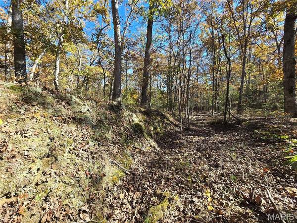 107 Railroad LN, Doe Run, MO 63637