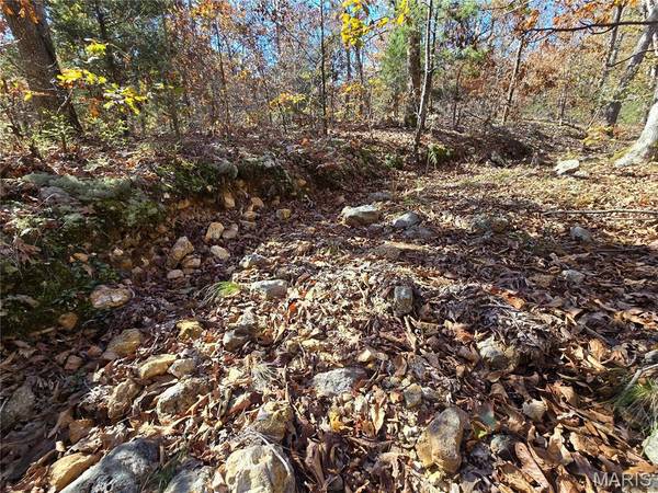 107 Railroad LN, Doe Run, MO 63637