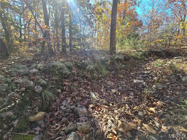 107 Railroad LN, Doe Run, MO 63637
