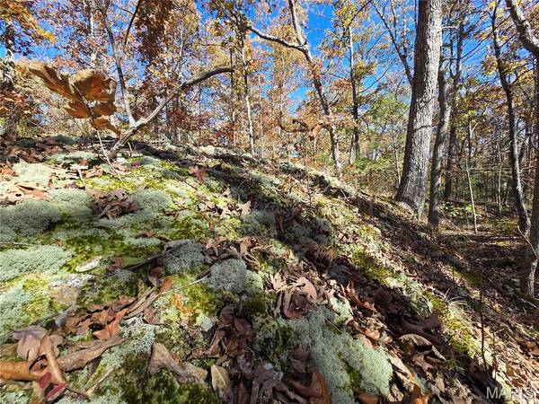 107 Railroad LN, Doe Run, MO 63637