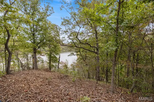 Tract 5 State Road Z, Edwards, MO 65326