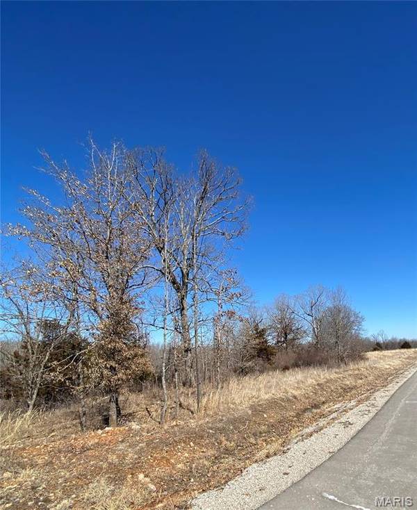 0 Lot 11 Promise DR, Lebanon, MO 65536