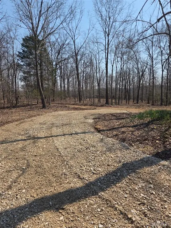 Tract 2 BCR 930, Patton, MO 63662