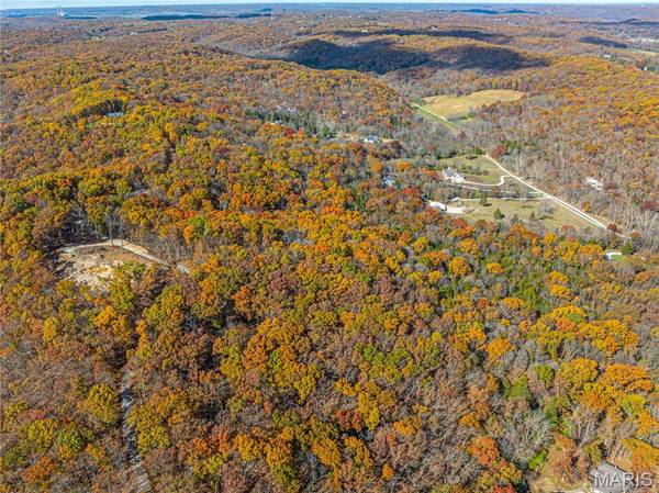 19005 Old Wild Turkey LN, Wildwood, MO 63069
