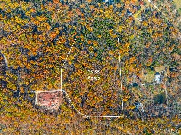 19005 Old Wild Turkey LN, Wildwood, MO 63069
