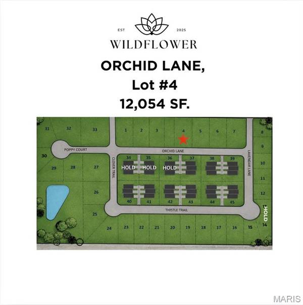 1217 Orchid LN, Litchfield, IL 62056