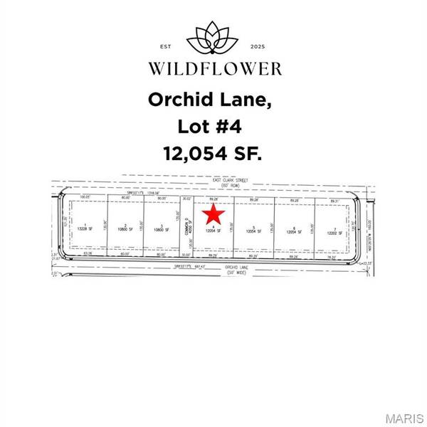 1217 Orchid LN, Litchfield, IL 62056