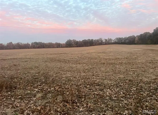 0 County Road 237, Bloomfield, MO 63825