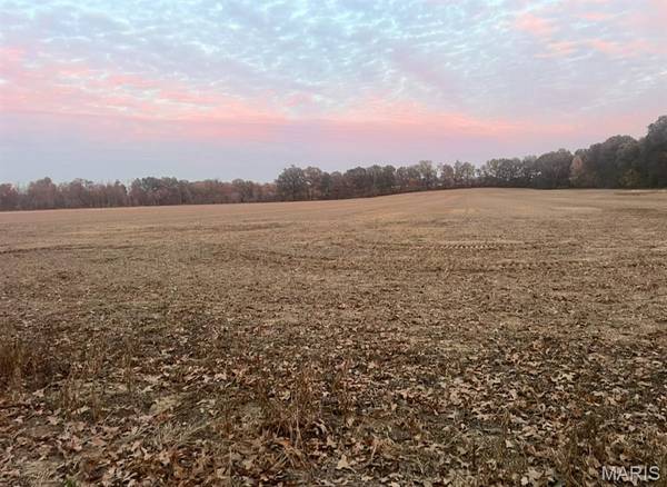 0 County Road 237, Bloomfield, MO 63825