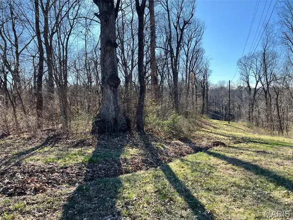 4 Acres Oak Ridge Pond Court RD, Hannibal, MO 63401