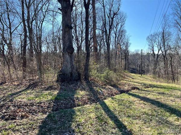 4 Acres Oak Ridge Pond Court RD, Hannibal, MO 63401