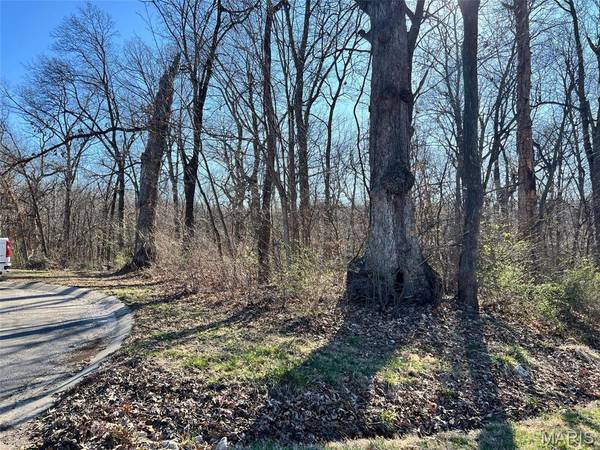 4 Acres Oak Ridge Pond Court RD, Hannibal, MO 63401