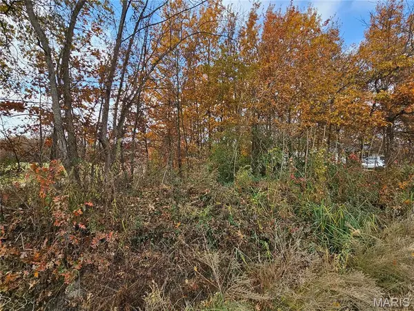 620 County Road, Broseley, MO 63932