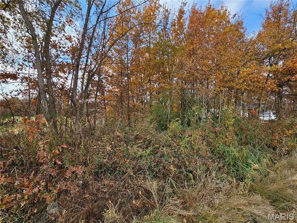 620 County Road, Broseley, MO 63932