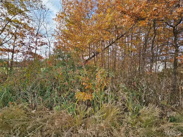 620 County Road, Broseley, MO 63932