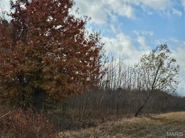 620 County Road, Broseley, MO 63932