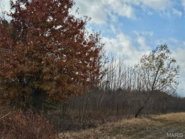 620 County Road, Broseley, MO 63932