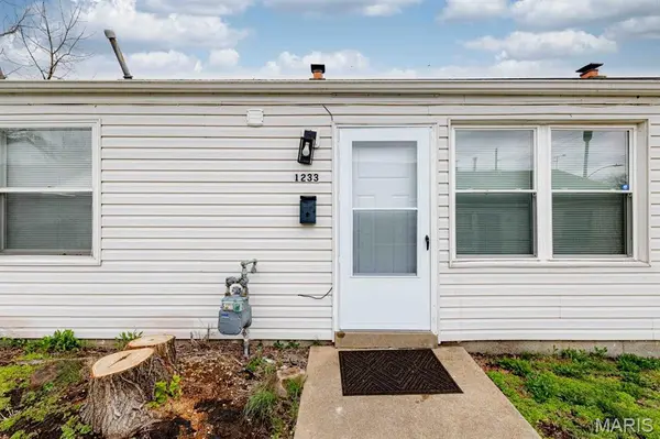 1231 Louisville AVE, St Louis, MO 63139