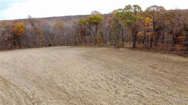 Tract 6 Polston Ln, Marthasville, MO 63357