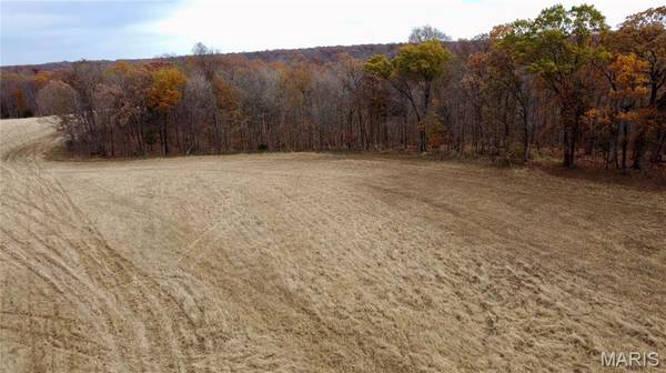 Tract 6 Polston Ln, Marthasville, MO 63357