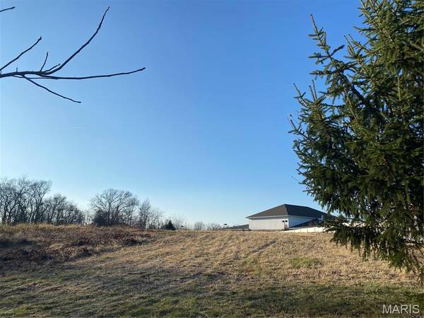 TBD Christopher RD, St Louis, MO 63129