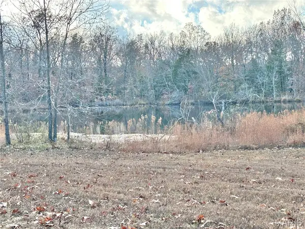 172 Cherryville RD, Salem, MO 65560