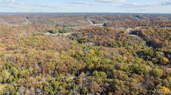 3476 Bassett RD, Pacific, MO 63069