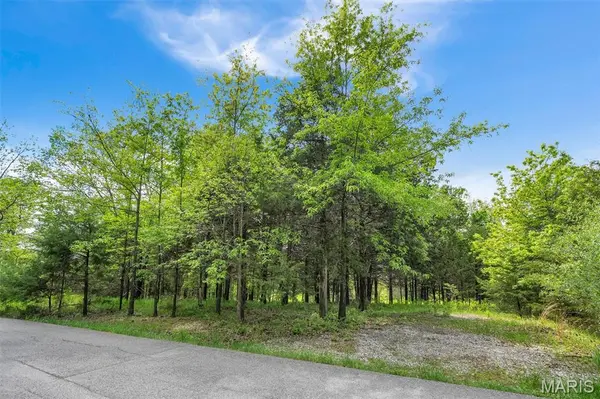 900 Silver Fox DR, Wright City, MO 63390