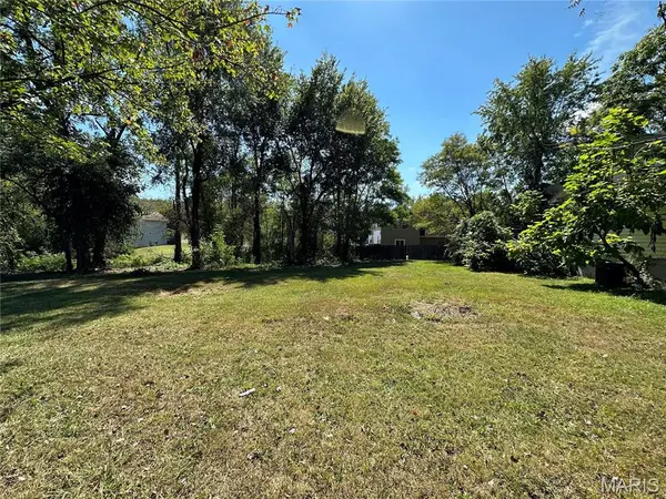 318 Chicago ST, St Louis, MO 63122