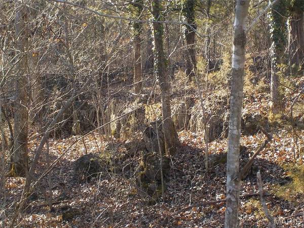 10450 Oakwood, Potosi, MO 63664