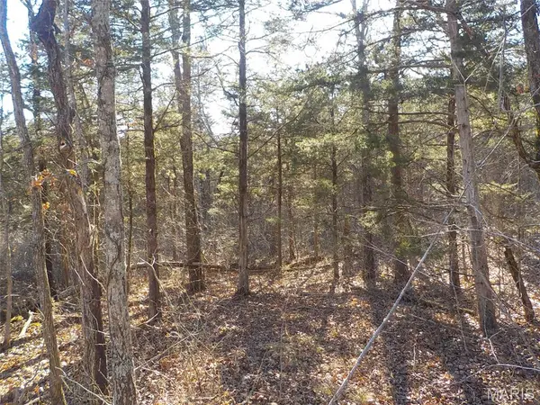 10450 Oakwood, Potosi, MO 63664