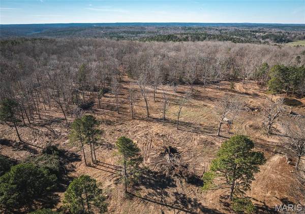 17029 Deason Drive, Licking, MO 65542