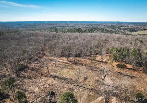 17029 Deason Drive, Licking, MO 65542