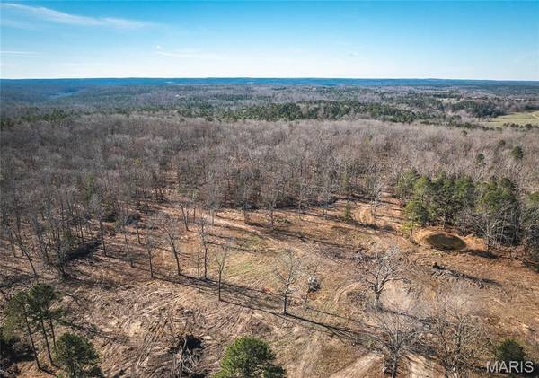 17029 Deason Drive, Licking, MO 65542