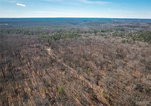 17029 Deason Drive, Licking, MO 65542