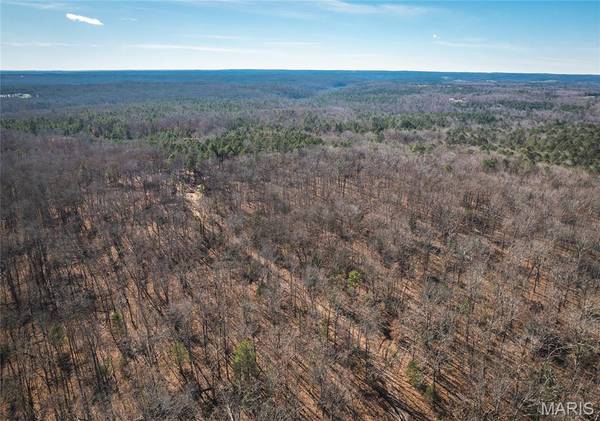 17029 Deason Drive, Licking, MO 65542