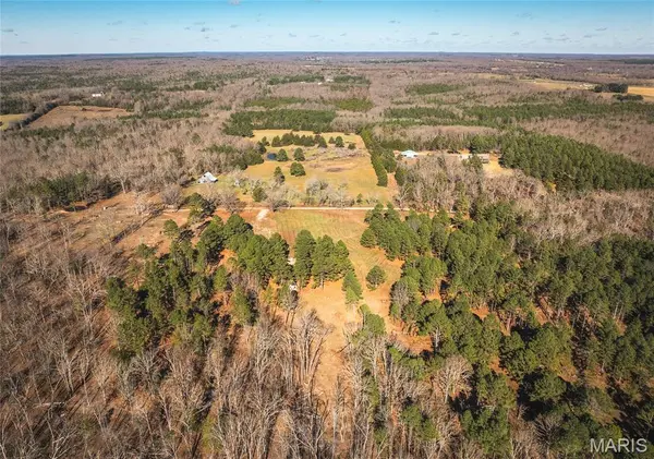 17029 Deason Drive, Licking, MO 65542