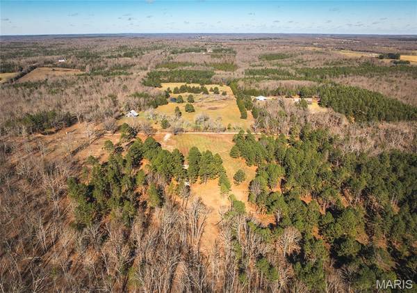 17029 Deason Drive, Licking, MO 65542