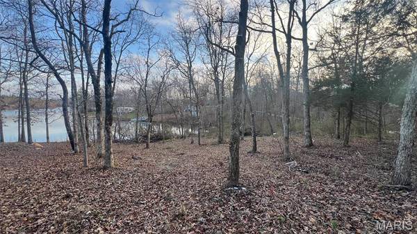 0 Lot 27 Lake Harmony, Fredericktown, MO 63645
