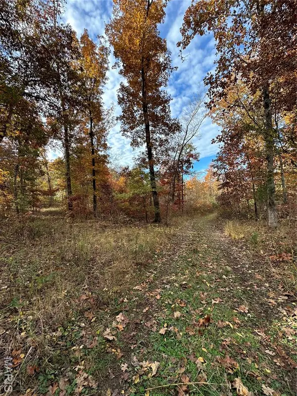 TBD Tract 1 Bobwhite Lane, Fairdealing, MO 63939