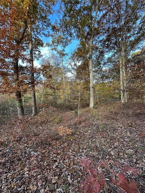 TBD Tract 1 Bobwhite Lane, Fairdealing, MO 63939