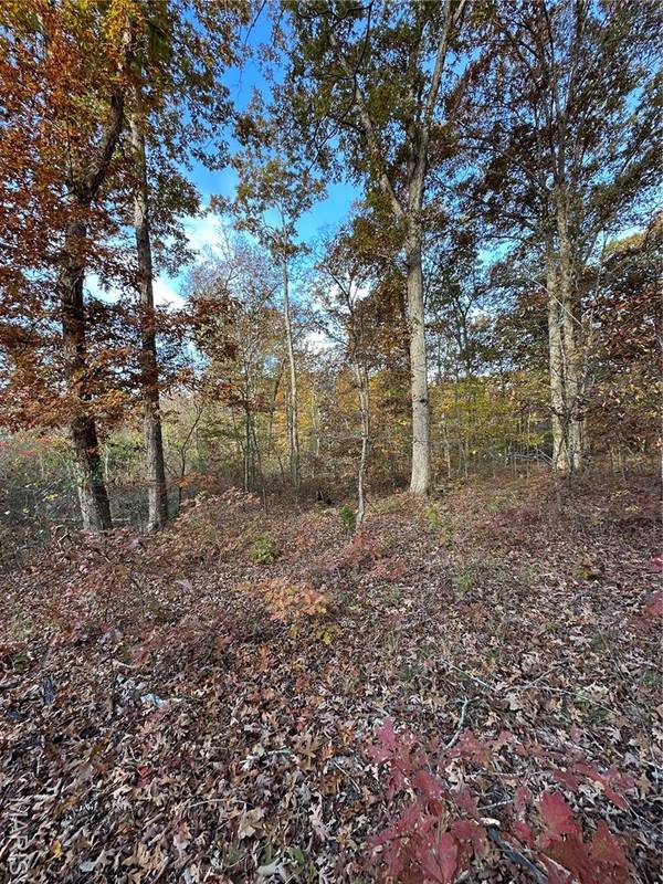 TBD Tract 1 Bobwhite Lane, Fairdealing, MO 63939