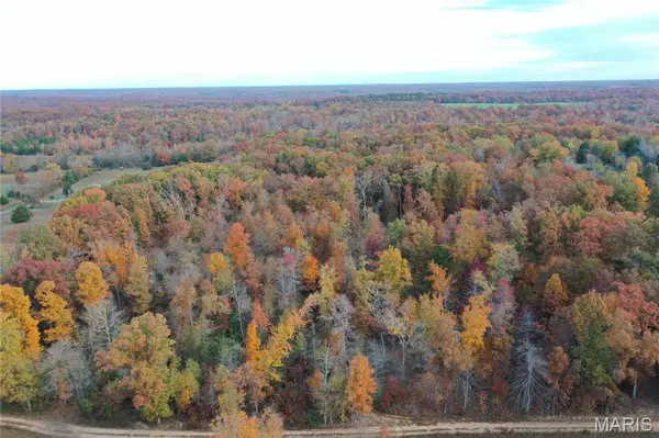 TBD Tract 1 Bobwhite Lane, Fairdealing, MO 63939