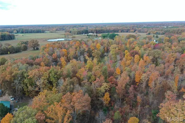 TBD Tract 1 Bobwhite Lane, Fairdealing, MO 63939