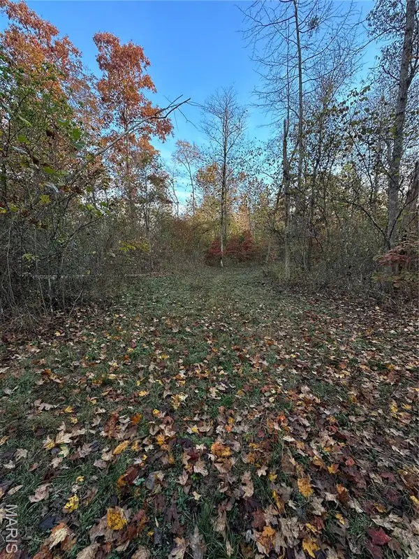 TBD Tract 3 Bobwhite Lane, Fairdealing, MO 63939