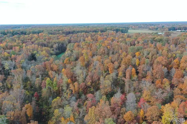 TBD Tract 3 Bobwhite Lane, Fairdealing, MO 63939